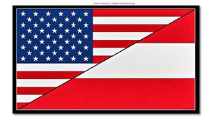 USA American Austria World Flag Country Vinyl Sticker Decal 3.5" - OwnTheAvenue