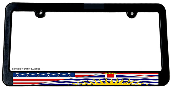 USA American District of Columbia World Flag Country License Plate Frame - OwnTheAvenue