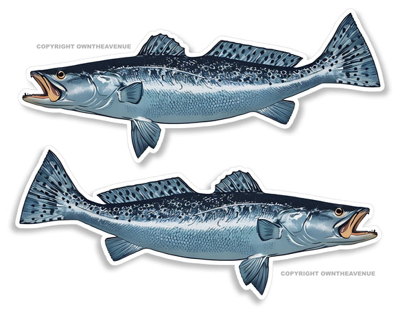 x2 Spotted Saltwater Trout Fish Fishing RV Boat Camper Trailer Car Truck Sticker Decals 4