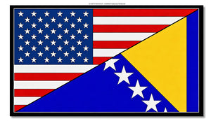 USA American Bosnia World Flag Country Vinyl Sticker Decal 3.5" - OwnTheAvenue