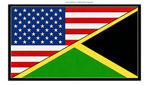 USA American Jamaica Jamaican World Flag Country Vinyl Sticker Decal 3.5" - OwnTheAvenue