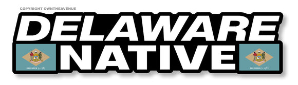 Delaware Native For Car Truck Laptop Bumper Window Vinyl Sticker Decal 6