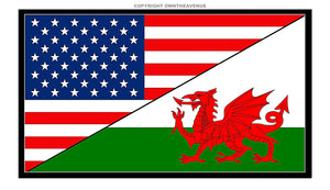 USA American Wales Welsh World Flag Country Vinyl Sticker Decal 3.5" - OwnTheAvenue