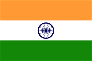 India Indian Flag Country Vinyl Sticker - Choose Size - OwnTheAvenue