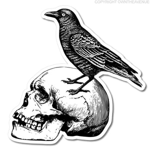 Raven Crow Skull JDM Car Truck Window Laptop Cup Vinyl Sticker Decal  3.75" - OwnTheAvenue