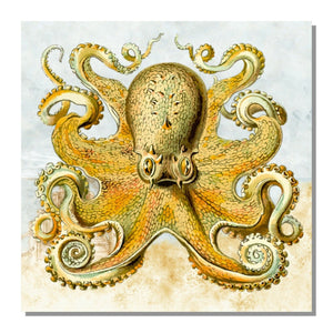 Octopus Sea Creature Squid Ocean Monster Sticker Decal 3" Model - Gold Sq V - OwnTheAvenue